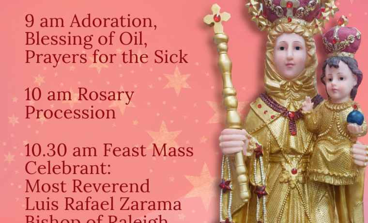 Feast of Our Lady of Good Health, Velankanni